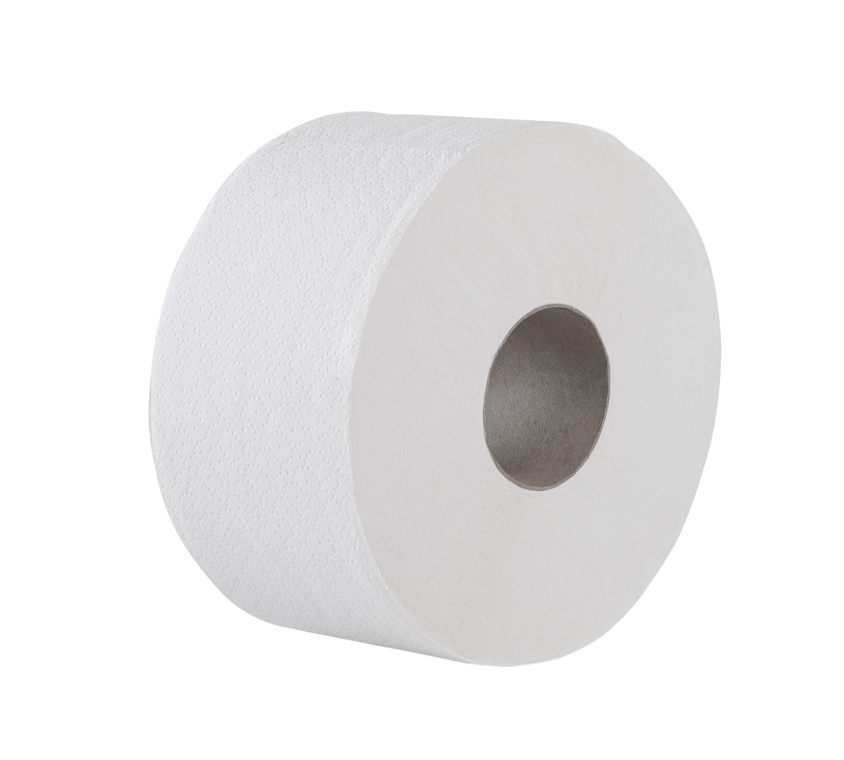 Toilettenpapier Mini Jumbo-Rollen, Recycling  2-lagig, 175m